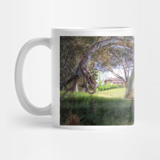 Farm House - Adelaide Hills, South Australia Mug